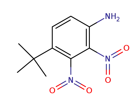 2,3-dinitro-4-t-butylaniline