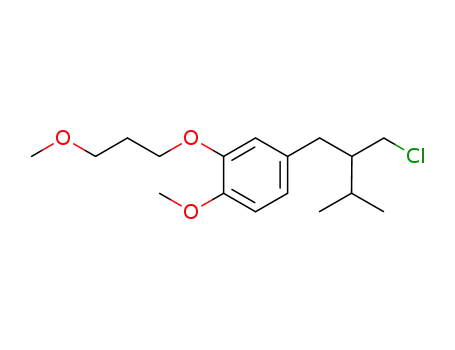 Molecular Structure of 943349-13-1 (2-{4-methoxy-3-(3-methoxypropoxyl)}-phenylmethyl-3-methyl-1-chlorobutane)