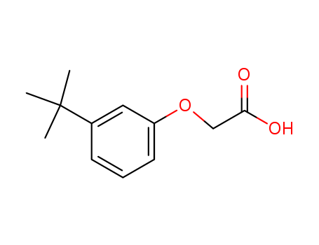 Acetic acid,2-[3-(1,1-dimethylethyl)phenoxy]-