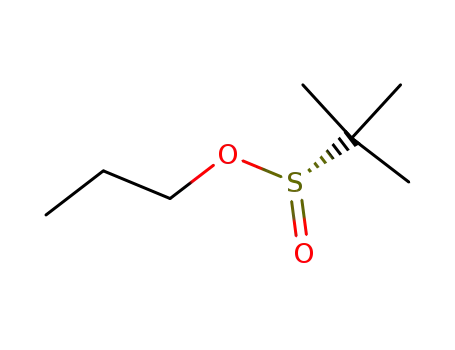Molecular Structure of 102101-42-8 ((-)-(S)-n-propyl t-butylsulphinate)