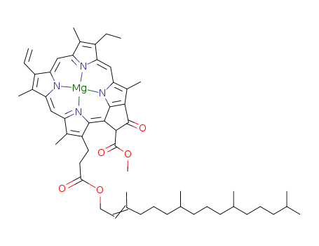 protochlorophyll