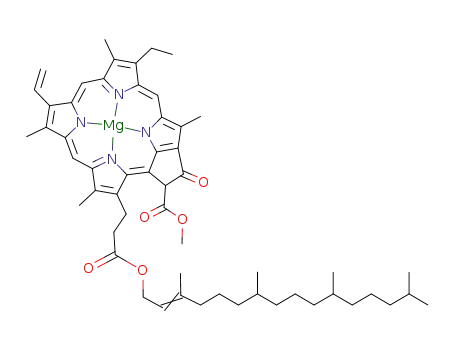 Protochlorophyll