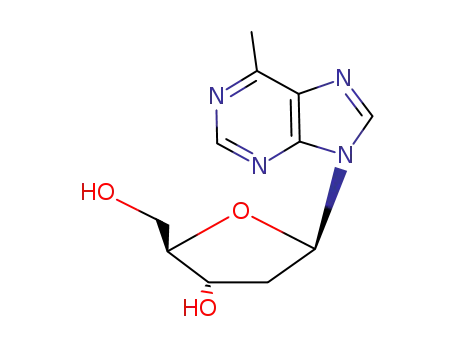 6-Methylpurine 2'-deoxyriboside