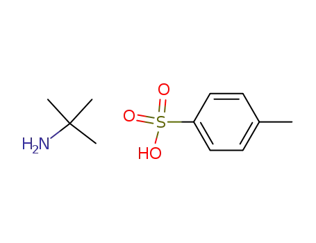 Molecular Structure of 63458-91-3 (tert-Butylammonium 4-toluenesulfonate)