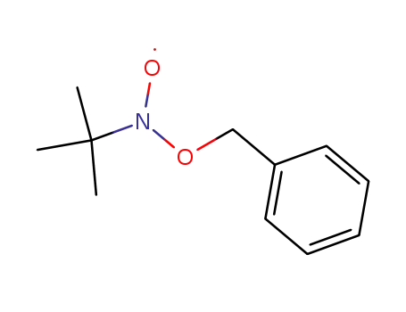 Benzyloxy-tert.butyl-aminyloxid