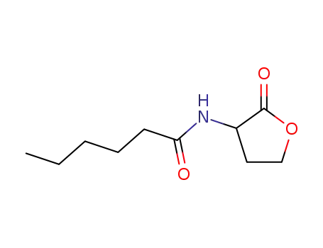 (+/-)-N-hexanoyl-homoserine lactone