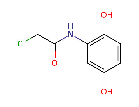 Molecular Structure of 102580-34-7 (2-chloro-N-(2,5-dihydroxyphenyl)acetamide)