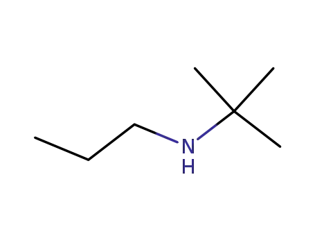 Molecular Structure of 22675-81-6 (1-Propanamine, N-(1,1-dimethylethyl)-)