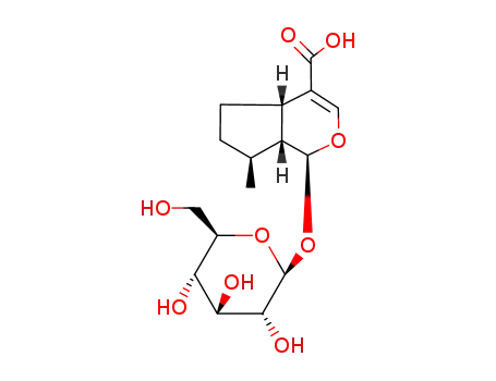 Molecular Structure of 22487-36-1 ((1R,2S,6S,9S)-9-methyl-2-[(2S,3R,4S,5R,6R)-3,4,5-trihydroxy-6-(hydroxymethyl)oxan-2-yl]oxy-3-oxabicyclo[4.3.0]non-4-ene-5-carboxylic acid)