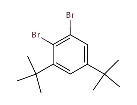 Molecular Structure of 19382-09-3 (1,2-dibromo-3,5-di-tert-butylbenzene)