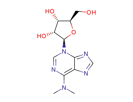 Molecular Structure of 3013-84-1 (1-(6-dimethylamino-purin-3-yl)-β-<i>D</i>-1-deoxy-ribofuranose)