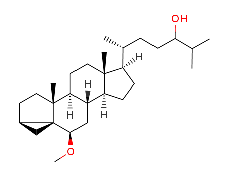 Molecular Structure of 66461-41-4 (6β-methoxy-3α,5-cyclocholestan-24-ol)