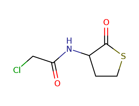 Acetamide,2-chloro-N-(tetrahydro-2-oxo-3-thienyl)-