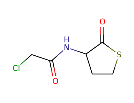 Molecular Structure of 84611-22-3 (N-CHLOROACETYL-DL-HOMOCYSTEINE THIOLACTONE)