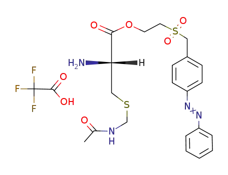 Molecular Structure of 84712-95-8 (2-[[p-(phenylazo)benzyl]sulphonyl]ethyl S-(acetamidomethyl)-L-cysteinate, mono(trifluoroacetate))