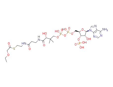Molecular Structure of 635678-53-4 (3-oxapentanoyl coenzyme A)