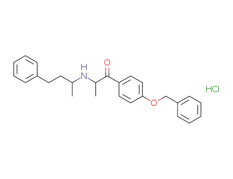 1-[4-(Benzyloxy)phenyl]-2-[(4-phenylbutan-2-YL)amino]propan-1-one