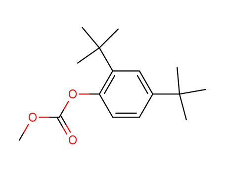 Molecular Structure of 873055-54-0 (Carbonic acid, 2,4-bis(1,1-diMethylethyl)phenyl Methyl ester)