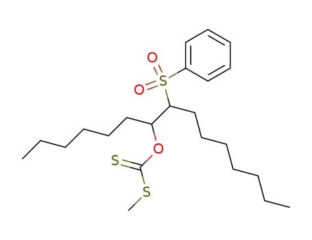 Molecular Structure of 135581-29-2 (Dithiocarbonic acid O-(2-benzenesulfonyl-1-hexyl-nonyl) ester S-methyl ester)
