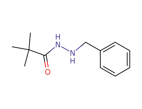 Molecular Structure of 306-19-4 (N'-benzylpivalohydrazide)