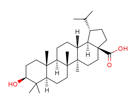 Molecular Structure of 25488-53-3 (dihydrobetulinic acid)