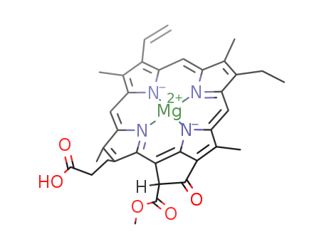 Protochlorophyllide