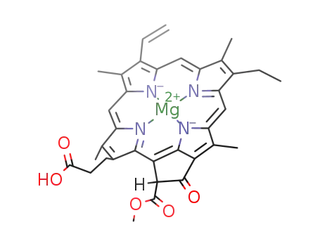 Molecular Structure of 20369-67-9 (Protochlorophyllide)