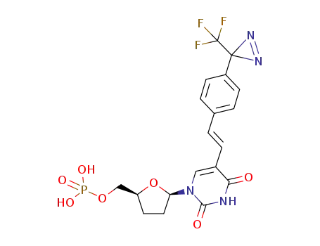 Phosphoric acid mono-[(2S,5R)-5-(2,4-dioxo-5-{(E)-2-[4-(3-trifluoromethyl-3H-diazirin-3-yl)-phenyl]-vinyl}-3,4-dihydro-2H-pyrimidin-1-yl)-tetrahydro-furan-2-ylmethyl] ester