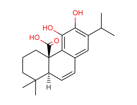 Molecular Structure of 951125-99-8 (6,7-dehydrocarnosic acid)
