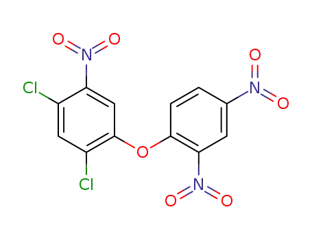 Molecular Structure of 859775-56-7 ((2,4-dichloro-5-nitro-phenyl)-(2,4-dinitro-phenyl)-ether)