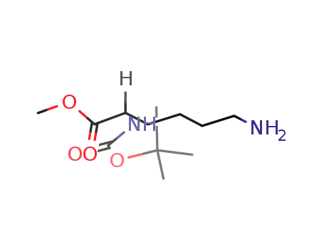 Molecular Structure of 55757-60-3 (BOC-LYS(AC)-OH HCL)