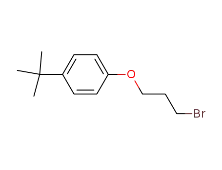Molecular Structure of 3245-63-4 (1-(3-BROMOPROPOXY)-4-TERT-BUTYLBENZENE)