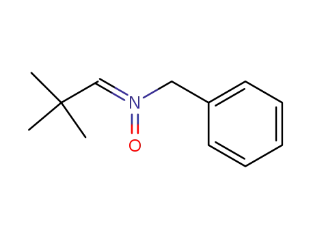 Molecular Structure of 144433-08-9 (Benzenemethanamine, N-(2,2-dimethylpropylidene)-, N-oxide)