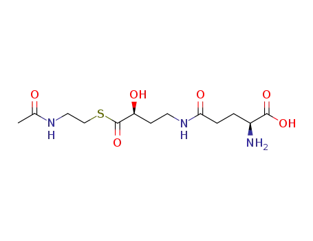 Molecular Structure of 1064665-41-3 (γ-L-Glu-((S)-4-amino-2-hydroxybutyryl)-N-acetylcysteamine thioester)
