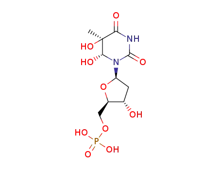 thymidine glycol monophosphate