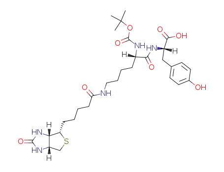 (S)-2-{(S)-2-tert-Butoxycarbonylamino-6-[5-((3aR,6S,6aS)-2-oxo-hexahydro-thieno[3,4-d]imidazol-6-yl)-pentanoylamino]-hexanoylamino}-3-(4-hydroxy-phenyl)-propionic acid