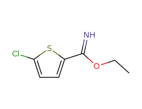 Molecular Structure of 57870-85-6 (2-Thiophenecarboximidic acid, 5-chloro-, ethyl ester)