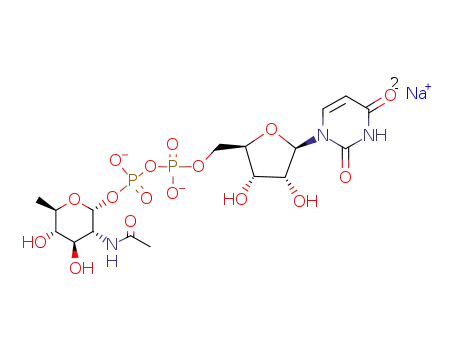 disodium uridine 5'-(2-acetamido-2,6-dideoxy-α-D-glucopyranosyl diphosphate)