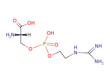 Molecular Structure of 18416-85-8 (Phosphoric acid 2-[[amino(imino)methyl]amino]ethyl[(S)-2-carboxy-2-aminoethyl] ester)