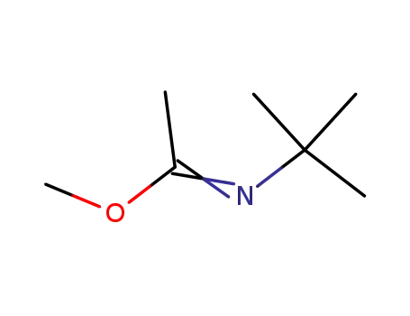Molecular Structure of 52855-95-5 (<i>N</i>-<i>tert</i>-butyl-acetimidic acid methyl ester)
