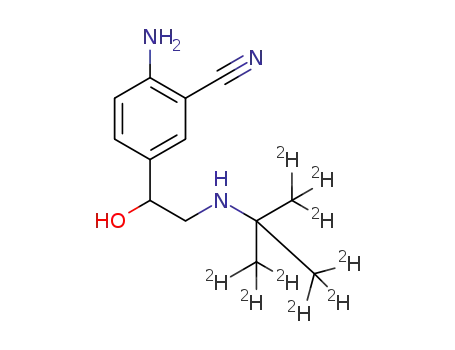 Molecular Structure of 1246819-04-4 (CiMbuterol-D9)