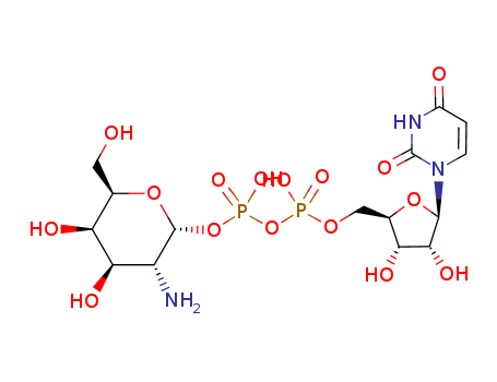 uridine diphosphate galactosamine