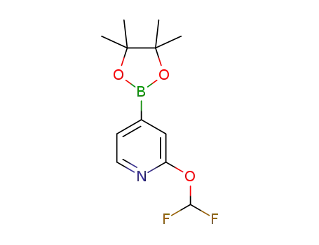 Molecular Structure of 1628116-87-9 (2-(difluoroMethoxy)-4-(4,4,5,5-tetraMethyl-1,3,2-dioxaborolan-2-yl)pyridine)