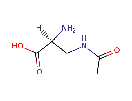L-3-acetyl-amino-2-amino-propionic acid