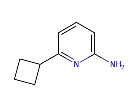 6- 시클로 부틸 피리딘 -2-aMine