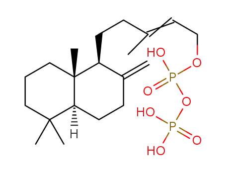 17124-02-6