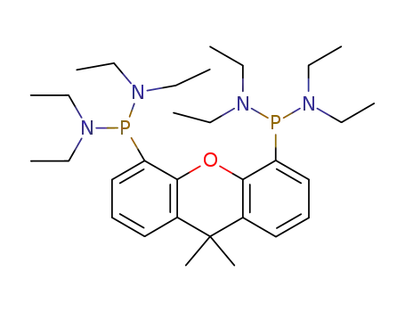 P,P'-(9,9-디메틸-9H-크산텐-4,5-디일)비스[N,N,N',N'-테트라에틸-포스포누스 디아미드] 97%