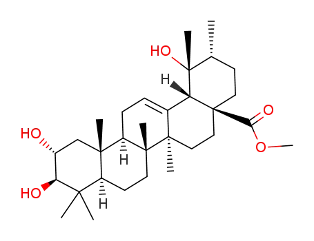 2α,3β,19-Trihydroxyurs-12-en-28-oic acid methyl ester