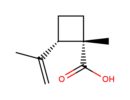 시클로부탄카르복실산, 1-메틸-2-(1-메틸에테닐)-, (1S-시스)-(9CI)