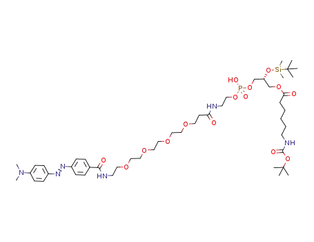 Molecular Structure of 888959-55-5 (6-<i>tert</i>-butoxycarbonylamino-hexanoic acid 2-(<i>tert</i>-butyl-dimethyl-silanyloxy)-3-{[2-(3-{2-[2-(2-{2-[4-(4-dimethylamino-phenylazo)-benzoylamino]-ethoxy}-ethoxy)-ethoxy]-ethoxy}-propionylamino)-ethoxy]-hydroxy-phosphoryloxy}-propyl ester)
